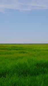 Preview wallpaper field, meadow, grass, horizon, landscape