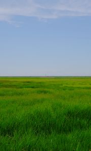 Preview wallpaper field, meadow, grass, horizon, landscape