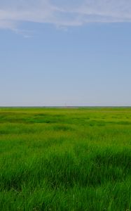 Preview wallpaper field, meadow, grass, horizon, landscape