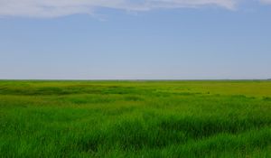 Preview wallpaper field, meadow, grass, horizon, landscape