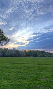 Preview wallpaper field, meadow, greens, grass, sky, clouds, air, tree, evening