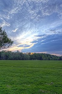 Preview wallpaper field, meadow, greens, grass, sky, clouds, air, tree, evening