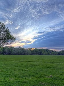 Preview wallpaper field, meadow, greens, grass, sky, clouds, air, tree, evening