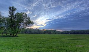 Preview wallpaper field, meadow, greens, grass, sky, clouds, air, tree, evening