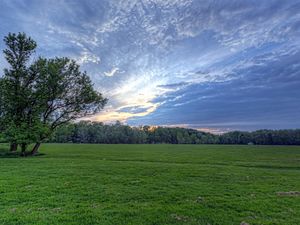 Preview wallpaper field, meadow, greens, grass, sky, clouds, air, tree, evening