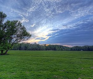 Preview wallpaper field, meadow, greens, grass, sky, clouds, air, tree, evening