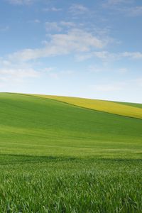 Preview wallpaper field, meadow, hill, sky, minimalism