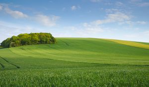 Preview wallpaper field, meadow, hill, sky, minimalism