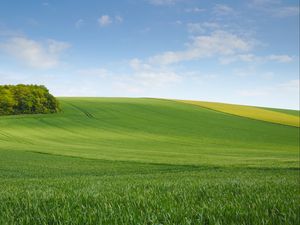 Preview wallpaper field, meadow, hill, sky, minimalism