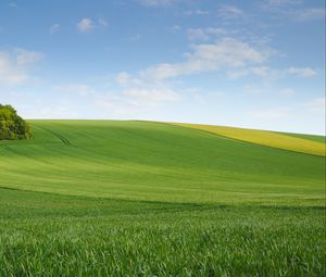 Preview wallpaper field, meadow, hill, sky, minimalism