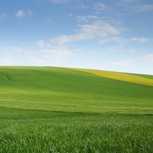 Preview wallpaper field, meadow, hill, sky, minimalism