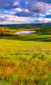 Preview wallpaper field, meadow, pond, sky, view, landscape, summer