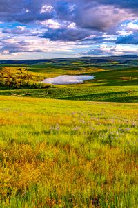 Preview wallpaper field, meadow, pond, sky, view, landscape, summer