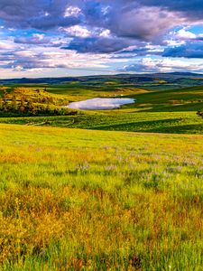 Preview wallpaper field, meadow, pond, sky, view, landscape, summer