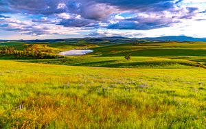 Preview wallpaper field, meadow, pond, sky, view, landscape, summer