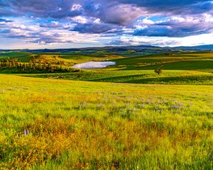 Preview wallpaper field, meadow, pond, sky, view, landscape, summer