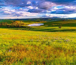 Preview wallpaper field, meadow, pond, sky, view, landscape, summer