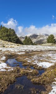 Preview wallpaper field, meadow, snow, grass, trees, landscape