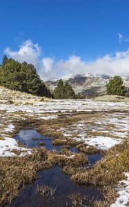 Preview wallpaper field, meadow, snow, grass, trees, landscape