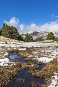 Preview wallpaper field, meadow, snow, grass, trees, landscape