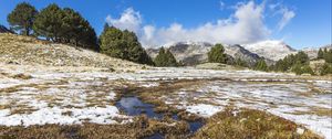 Preview wallpaper field, meadow, snow, grass, trees, landscape