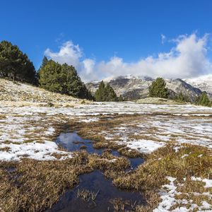 Preview wallpaper field, meadow, snow, grass, trees, landscape