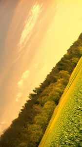 Preview wallpaper field, meadow, trees, sky, corner