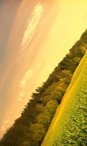 Preview wallpaper field, meadow, trees, sky, corner