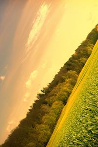 Preview wallpaper field, meadow, trees, sky, corner