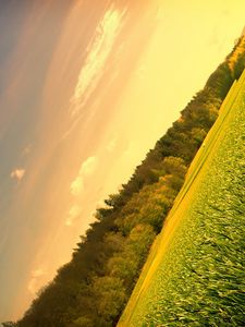 Preview wallpaper field, meadow, trees, sky, corner