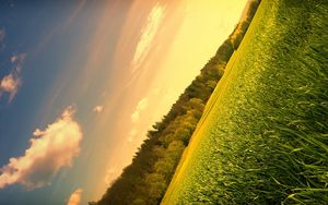 Preview wallpaper field, meadow, trees, sky, corner