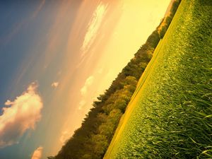 Preview wallpaper field, meadow, trees, sky, corner