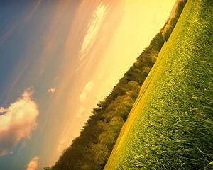 Preview wallpaper field, meadow, trees, sky, corner