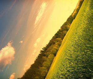 Preview wallpaper field, meadow, trees, sky, corner