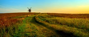 Preview wallpaper field, mill, horizon, summer, grass, sunset