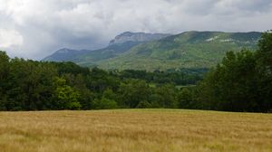 Preview wallpaper field, mountain, trees, landscape, nature