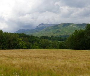 Preview wallpaper field, mountain, trees, landscape, nature