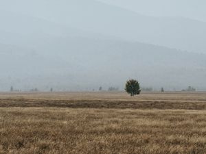 Preview wallpaper field, mountains, fog, landscape, nature