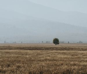 Preview wallpaper field, mountains, fog, landscape, nature