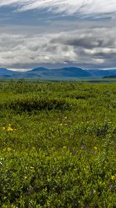 Preview wallpaper field, mountains, hills, flowers, wildflowers