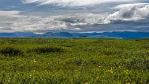 Preview wallpaper field, mountains, hills, flowers, wildflowers