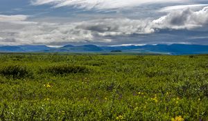 Preview wallpaper field, mountains, hills, flowers, wildflowers