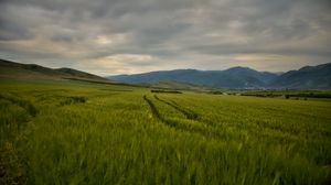 Preview wallpaper field, mountains, hills, landscape