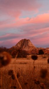 Preview wallpaper field, mountains, landscape, vegetation