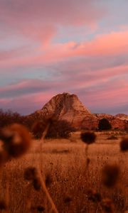 Preview wallpaper field, mountains, landscape, vegetation