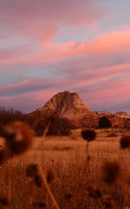 Preview wallpaper field, mountains, landscape, vegetation
