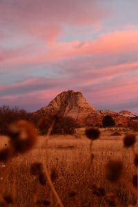 Preview wallpaper field, mountains, landscape, vegetation