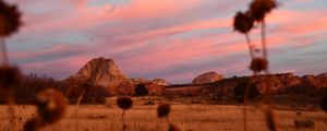Preview wallpaper field, mountains, landscape, vegetation