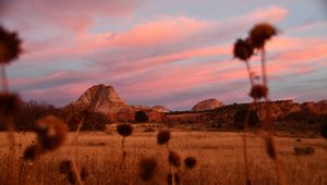 Preview wallpaper field, mountains, landscape, vegetation