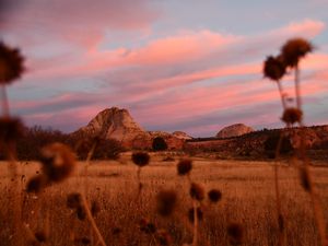 Preview wallpaper field, mountains, landscape, vegetation